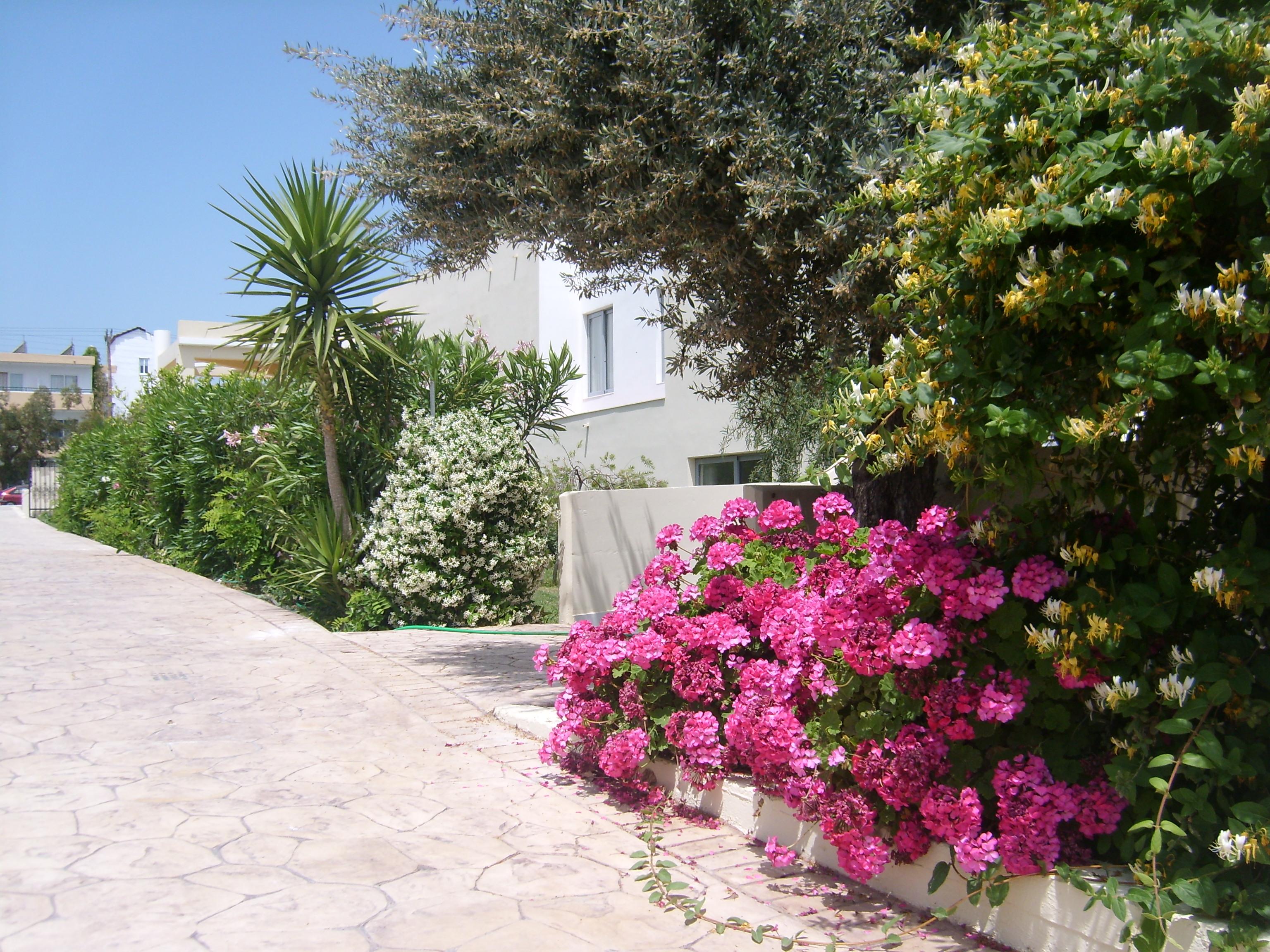 Memphis Beach Hotel Kolymbia Esterno foto